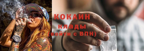 бошки Бронницы