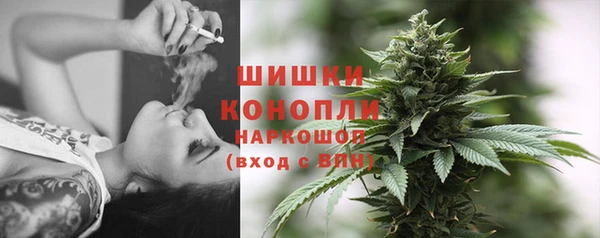 бошки Бронницы