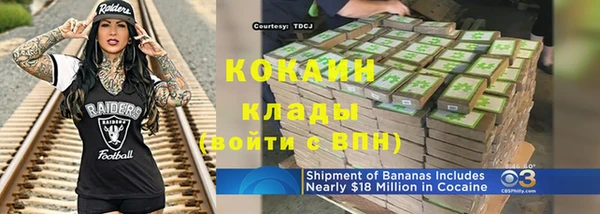 бошки Бронницы