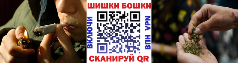 Бошки марихуана Amnesia  Кировград 